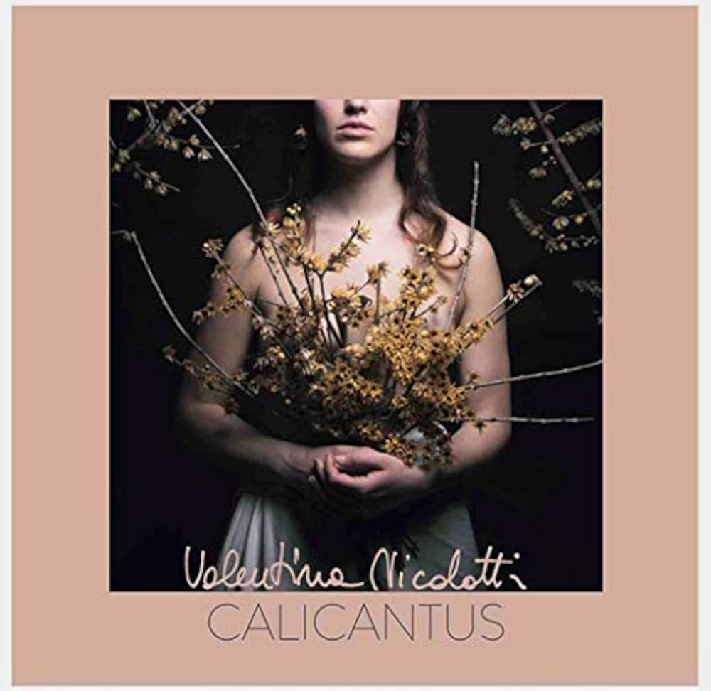 Copertina dell’album Calicantus di Valentina Nicolotti